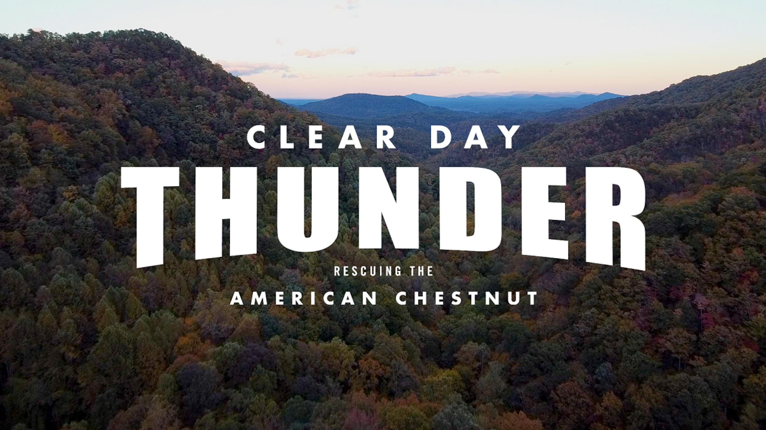 CLEAR DAY THUNDER Official Trailer